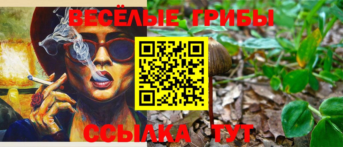 как найти закладки  Вход с VPN  Каменка  Галлюциногенные грибы Psilocybe 